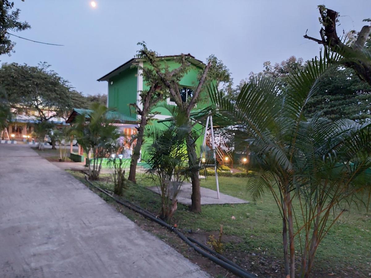 The Midway Jungle Resort Masinagudi Eksteriør billede
